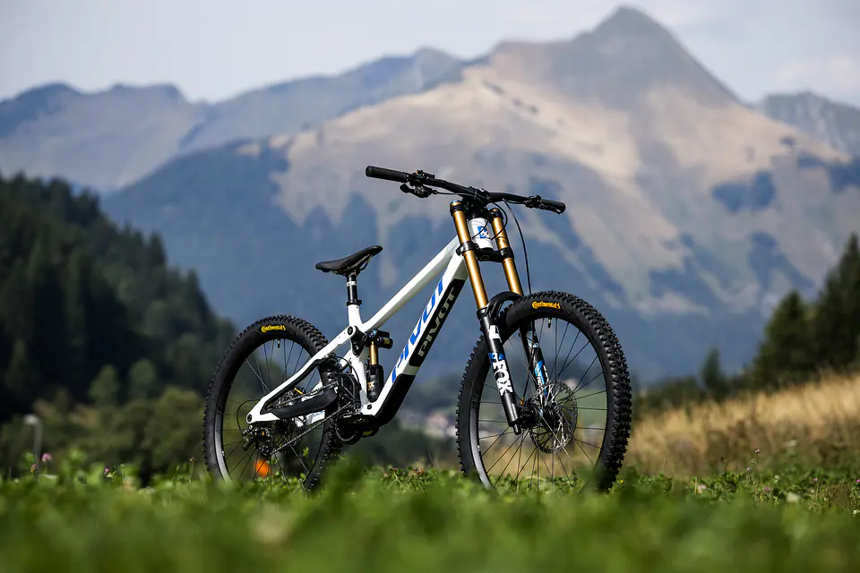 PHOENIX PRO GX White Cobalt Blue 2