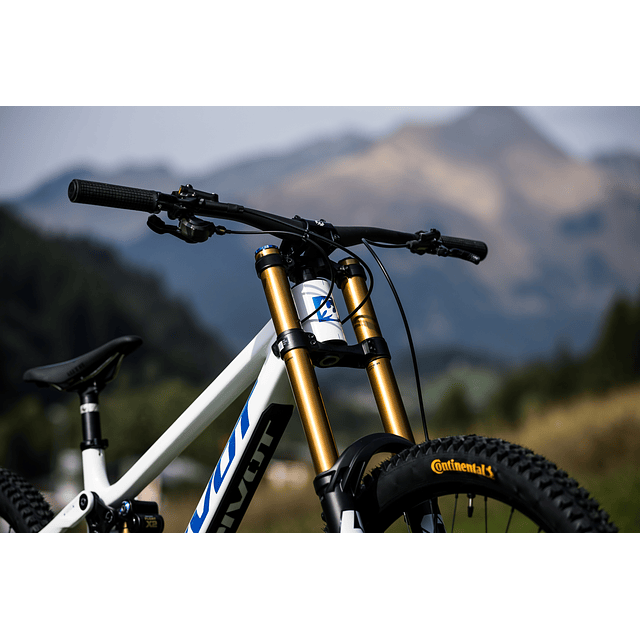 PHOENIX PRO GX White Cobalt Blue