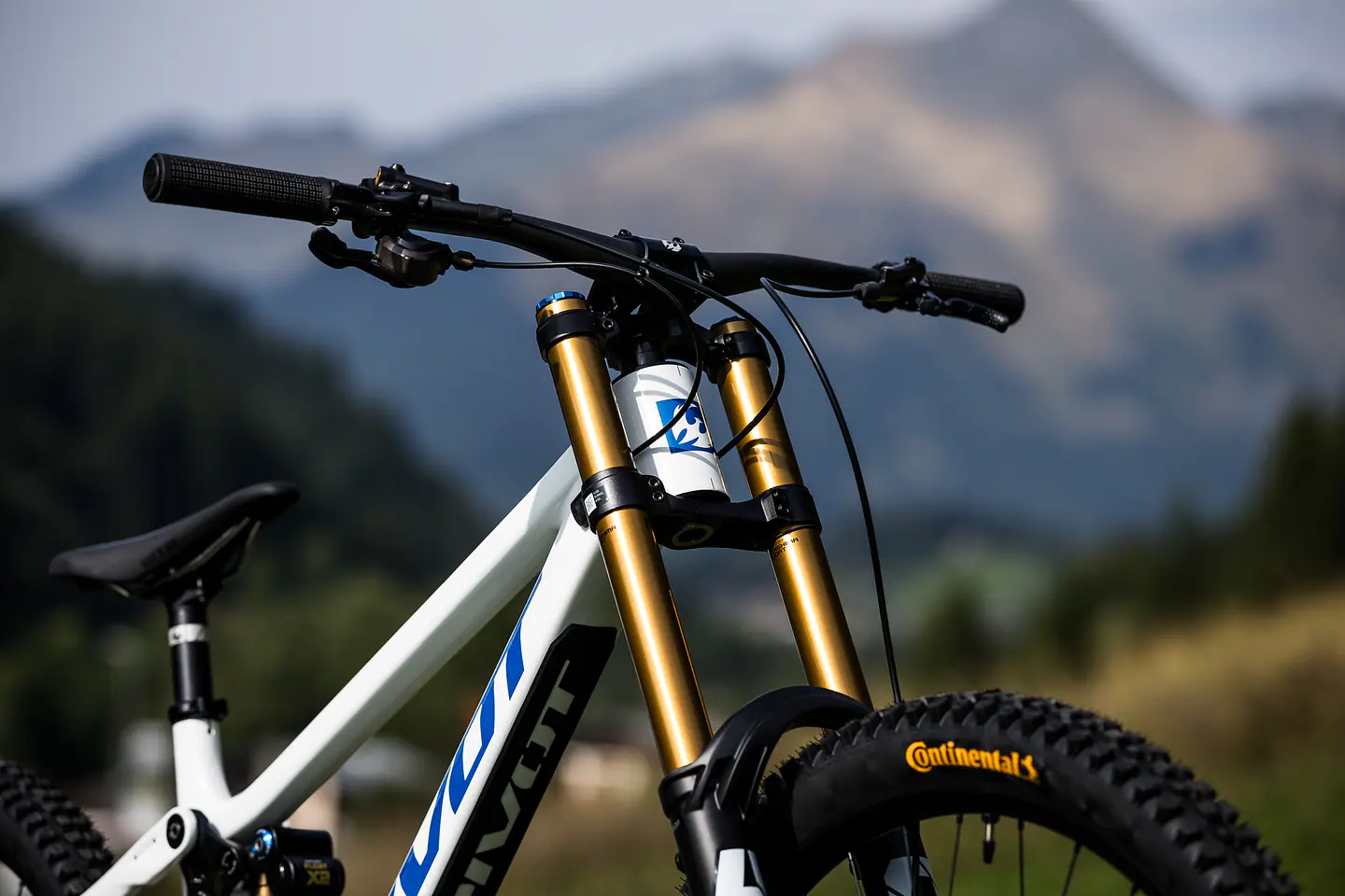 PHOENIX PRO GX White Cobalt Blue 3