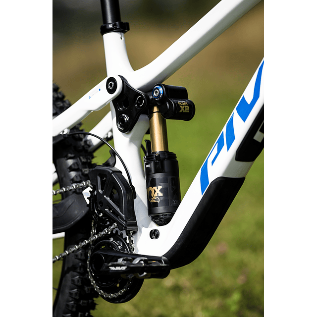 PHOENIX PRO GX White Cobalt Blue