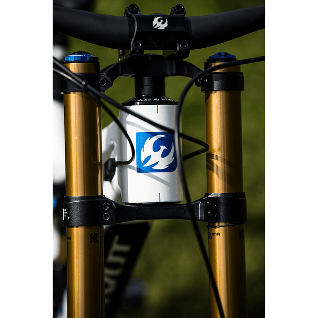 PHOENIX PRO GX White Cobalt Blue