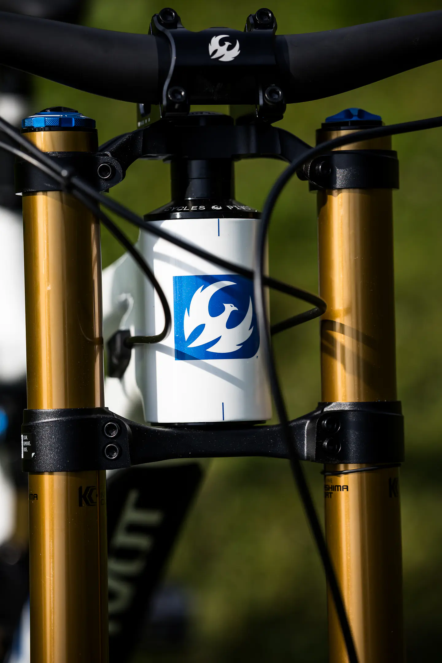 PHOENIX PRO GX White Cobalt Blue 5
