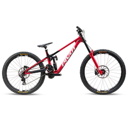 Phoenix XX Special Edition 