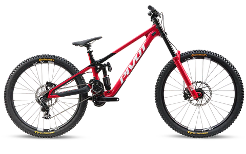 Phoenix XX Special Edition 