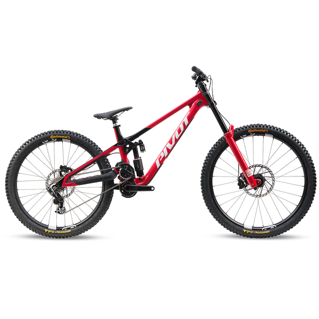 Phoenix XX Special Edition 
