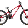 Phoenix XX Special Edition 