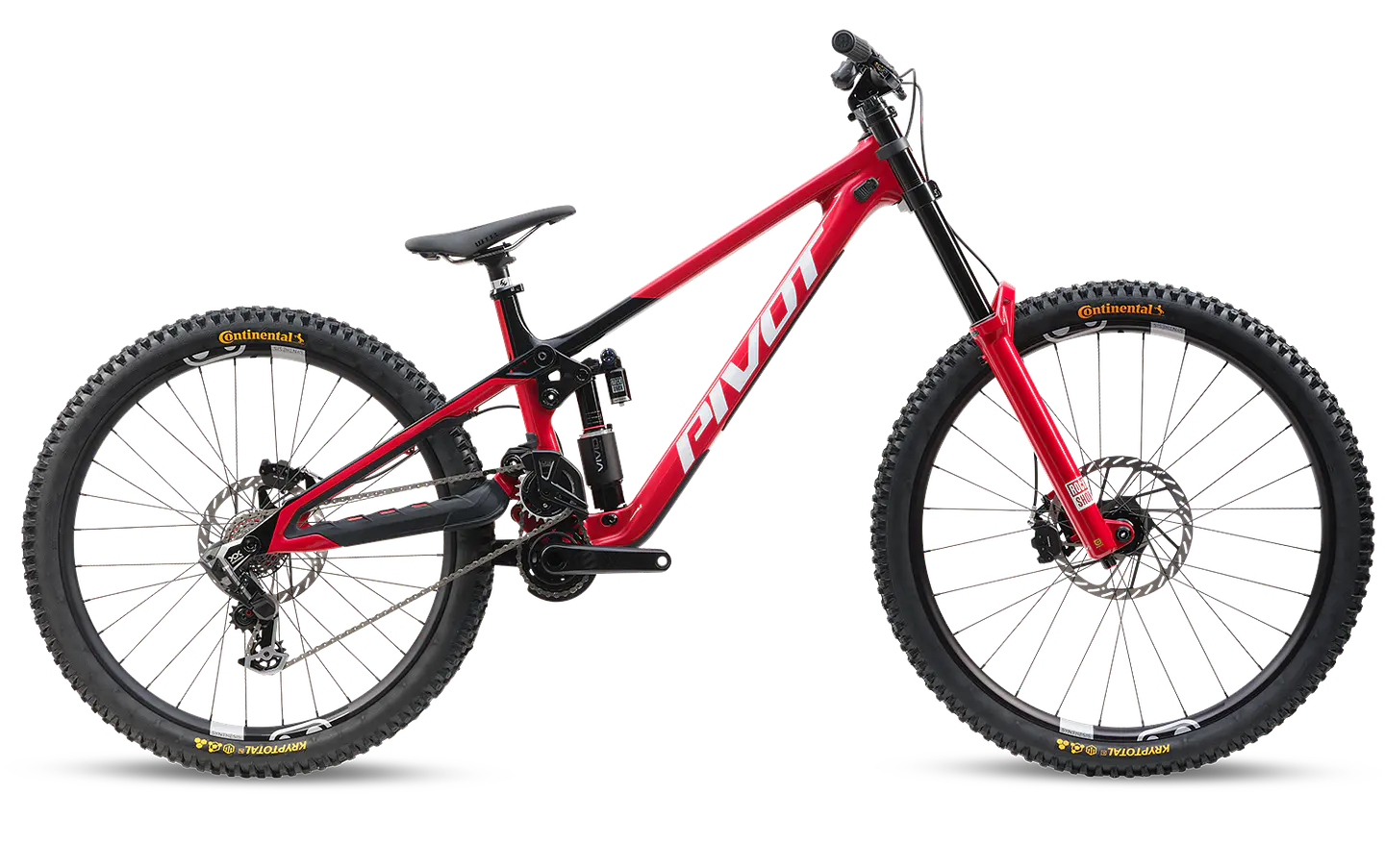 Phoenix XX Special Edition  1