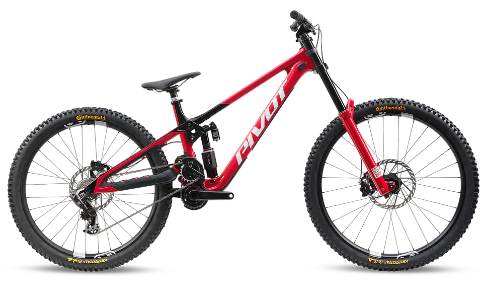 Phoenix XX Special Edition  1