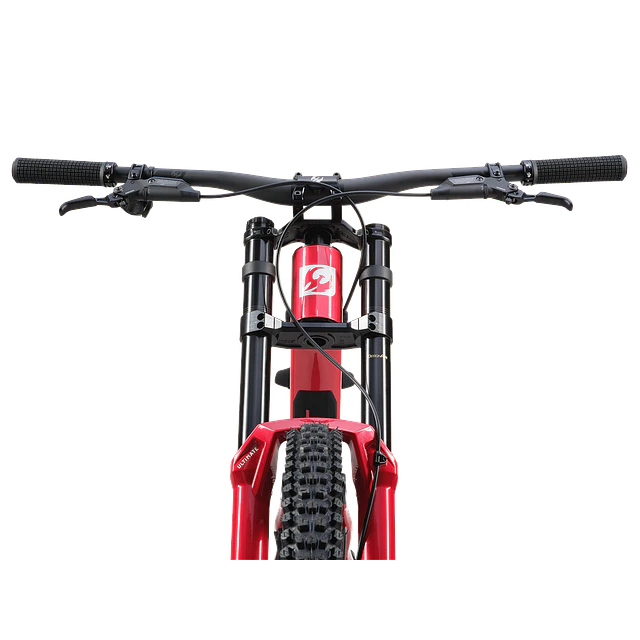 Phoenix XX Special Edition 