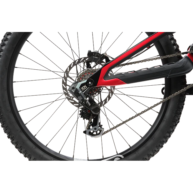 Phoenix XX Special Edition 