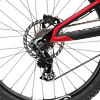 Phoenix XX Special Edition 