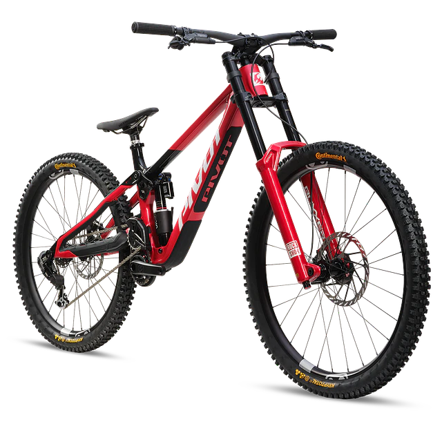 Phoenix XX Special Edition 