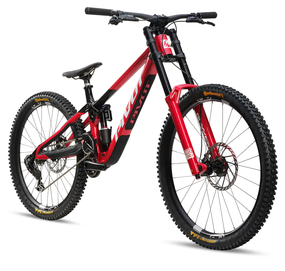 Phoenix XX Special Edition  4