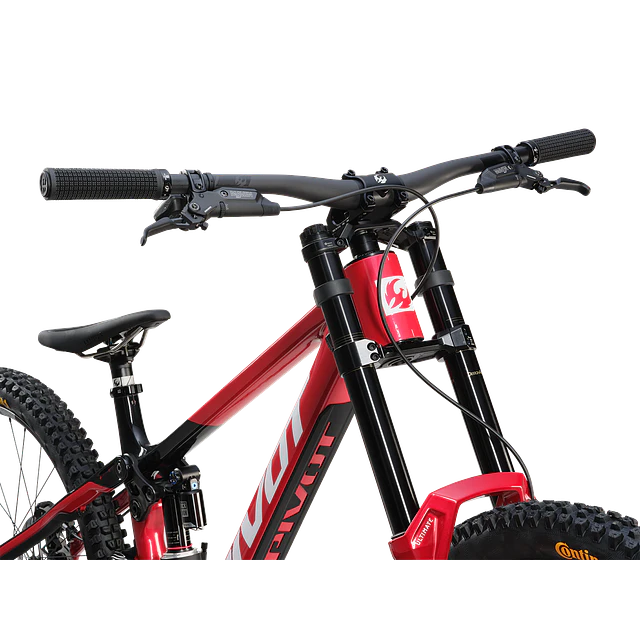 Phoenix XX Special Edition 