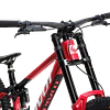 Phoenix XX Special Edition 