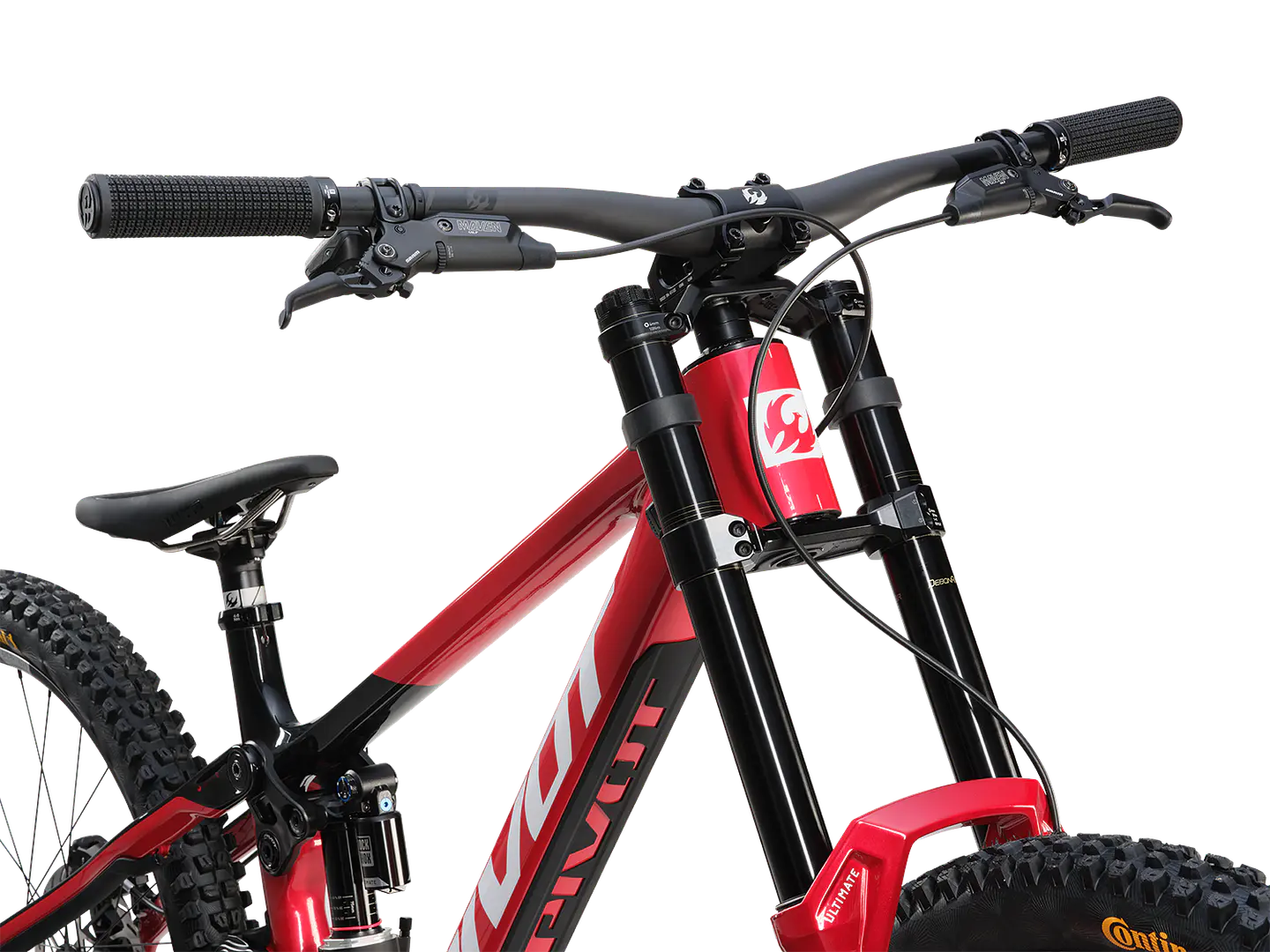 Phoenix XX Special Edition  7