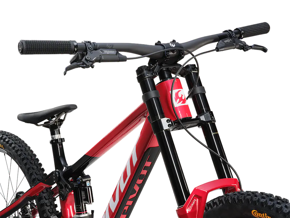Phoenix XX Special Edition  7