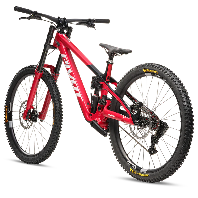 Phoenix XX Special Edition 