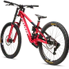 Phoenix XX Special Edition 