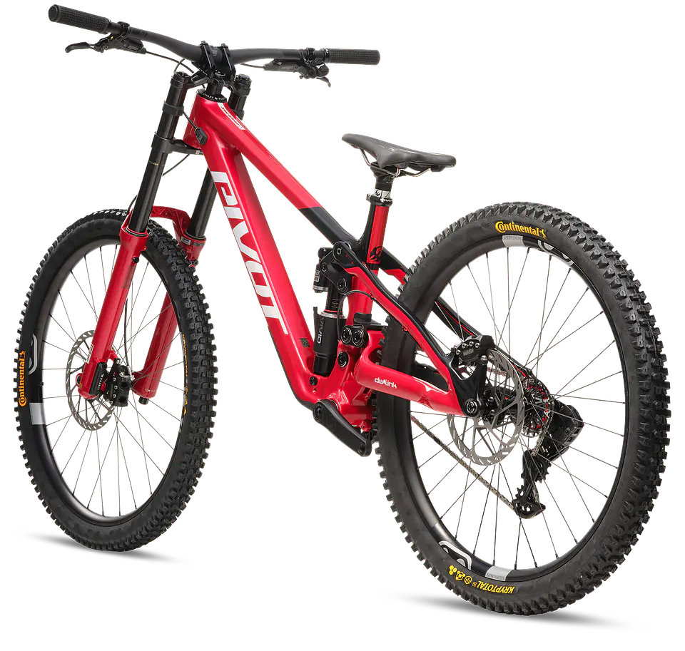 Phoenix XX Special Edition  8