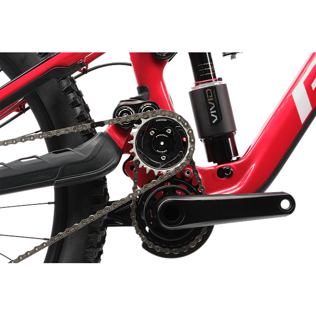 Phoenix XX Special Edition 