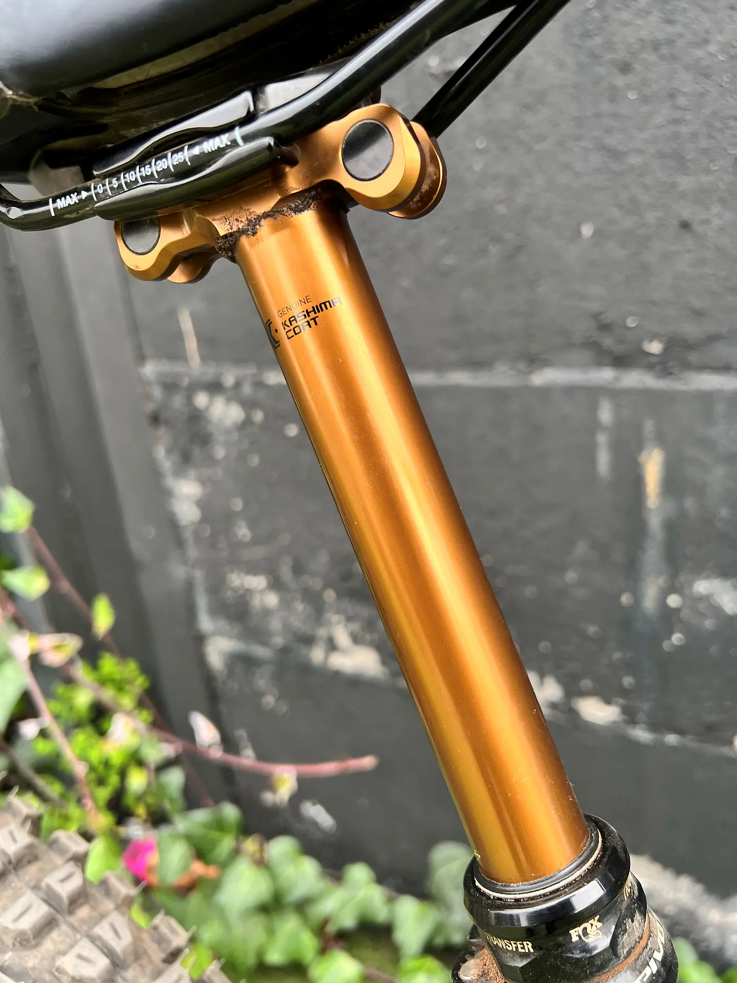 PIVOT SHUTTLE AM TALLA S 7
