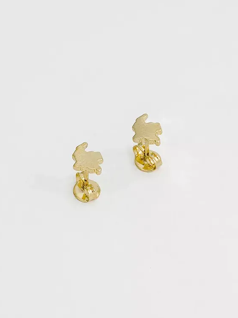 Aretes Colombia 1