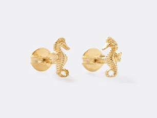 Arete Caballito de Mar