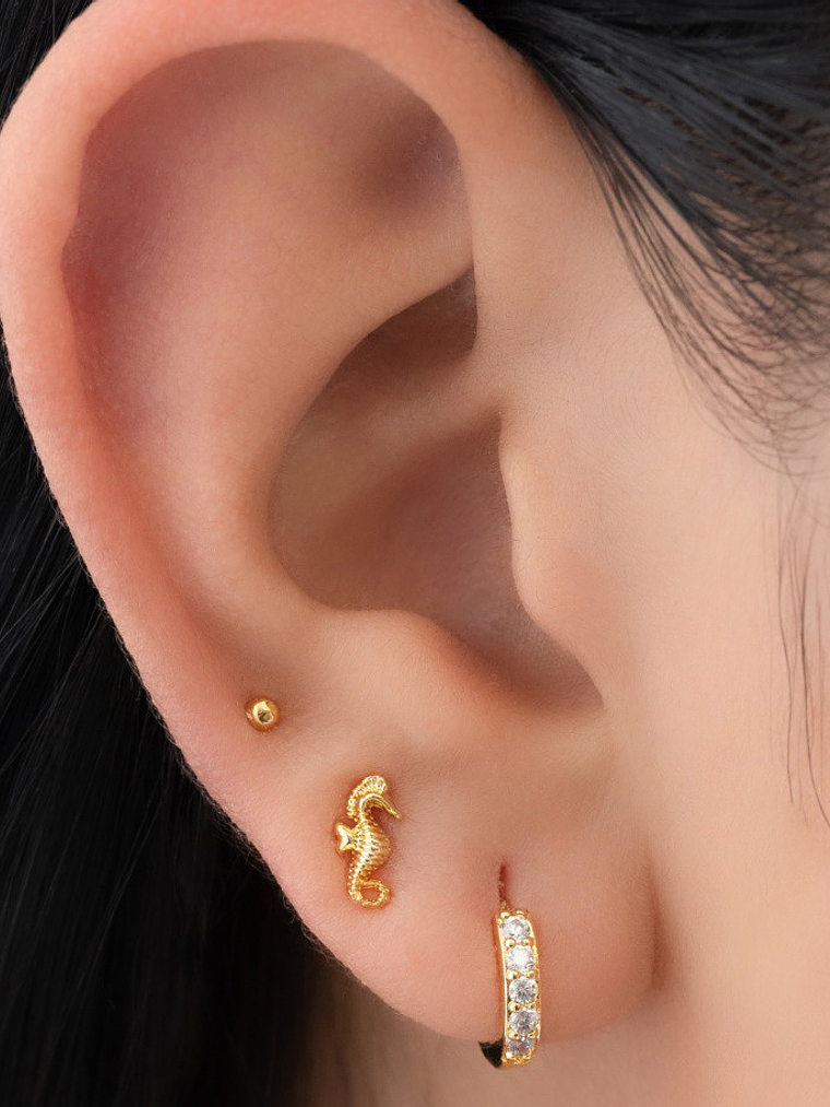 Arete Caballito de Mar 2