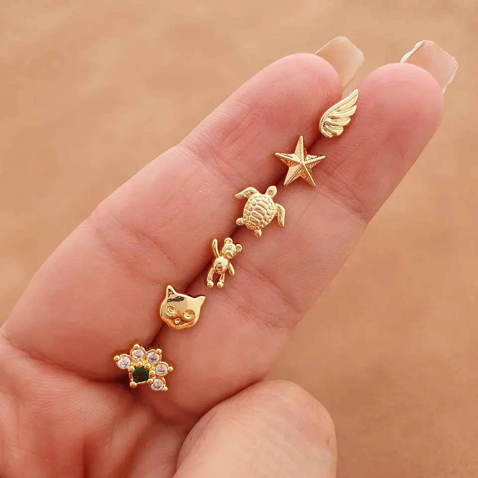 Arete Turtle 2