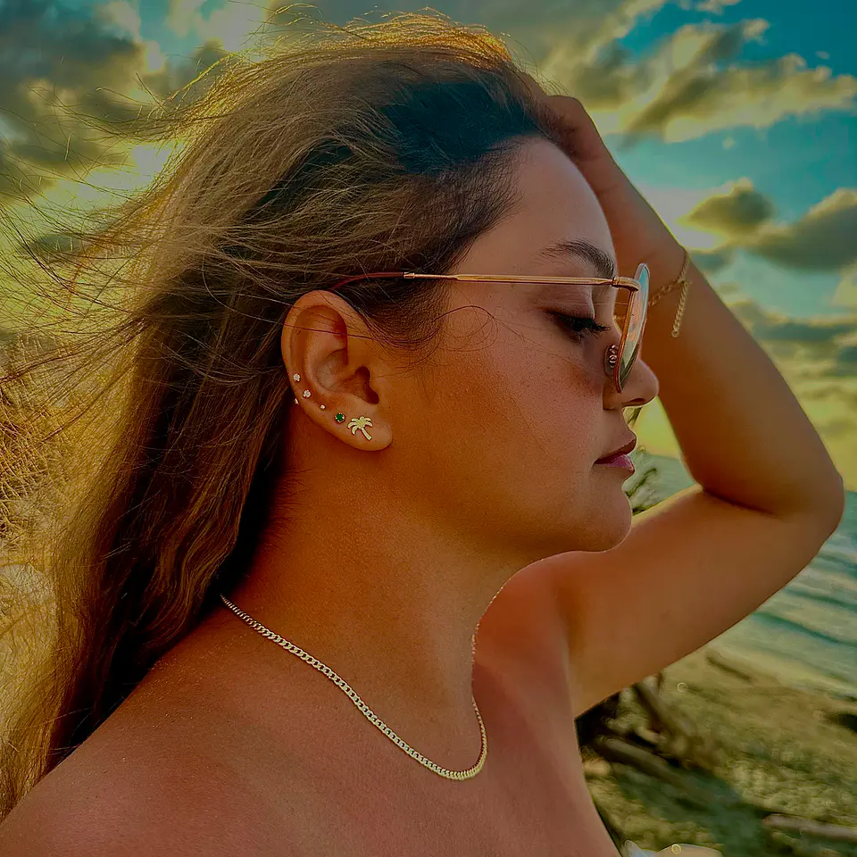 Arete Palmera 2