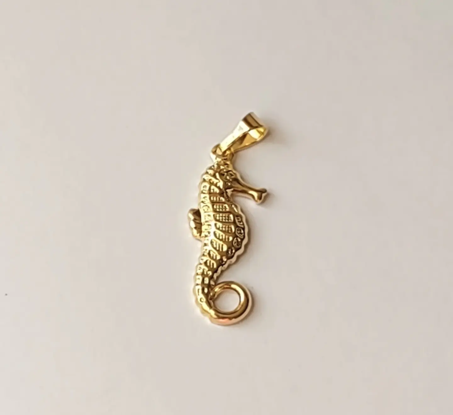 Dije Caballito de Mar  1