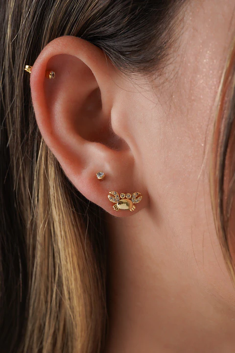 Arete Crangrejo Circonias