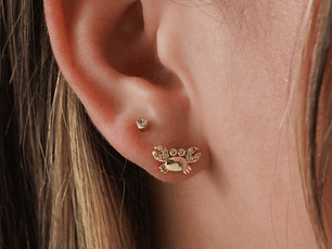 Arete Crangrejo Circonias