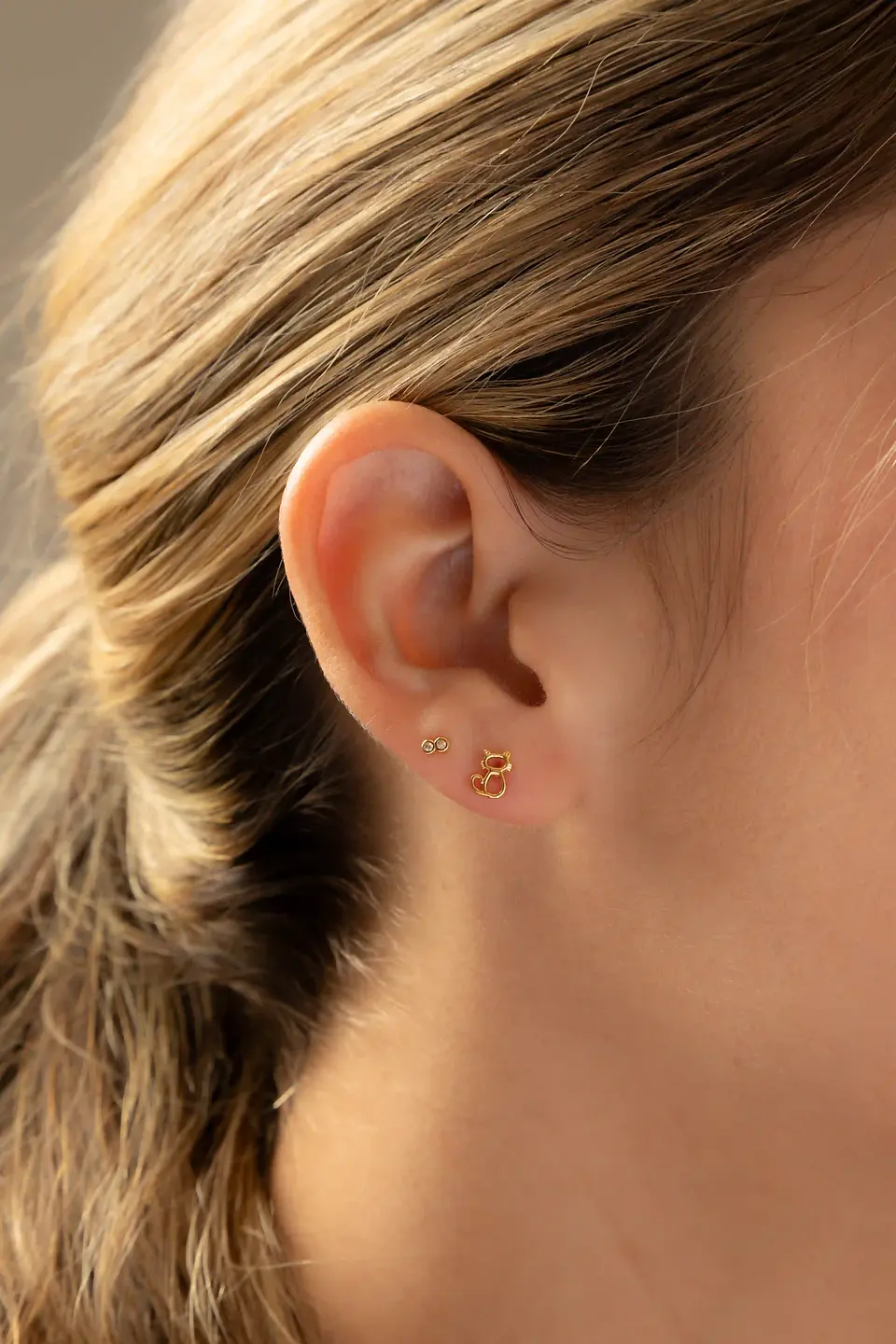 Arete Cat Mini 1
