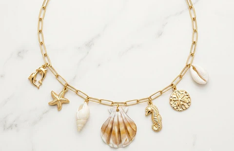Colar de Elos com Amuletos do Mar II