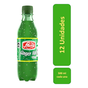 Bebida Fruna Ginger Ale 500ml Display 12 un.