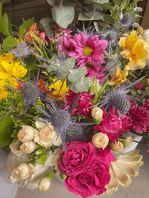 Ramo Torres del Paine