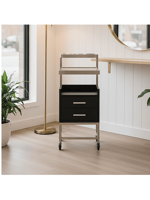 Ayudante de Peluquería Negro Con Plateado