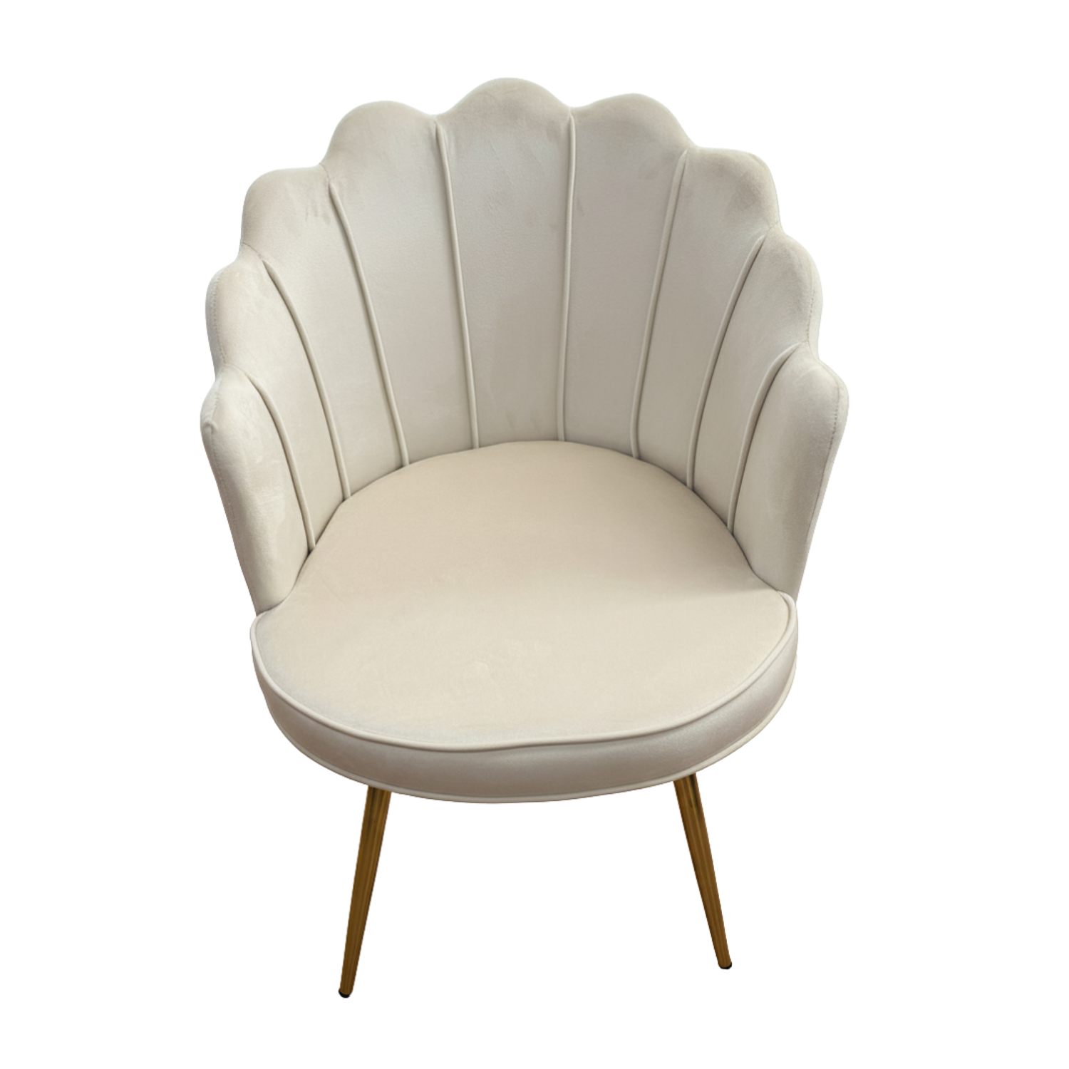 Silla de Felpa Moderna con Patas Doradas Aurora Velvet  2