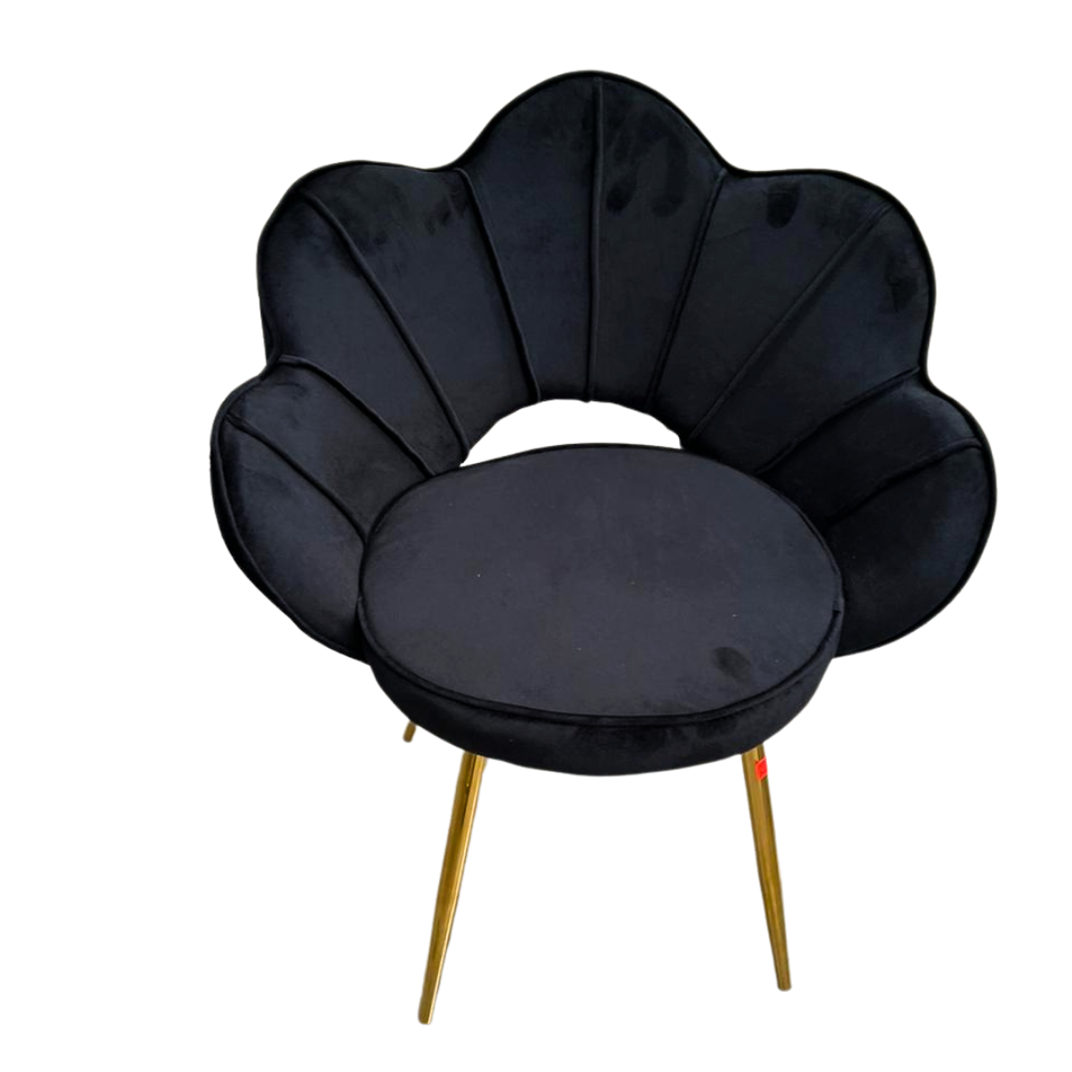 Silla Concha de Terciopelo para Salón de Belleza y Tocador con Patas Doradas 6