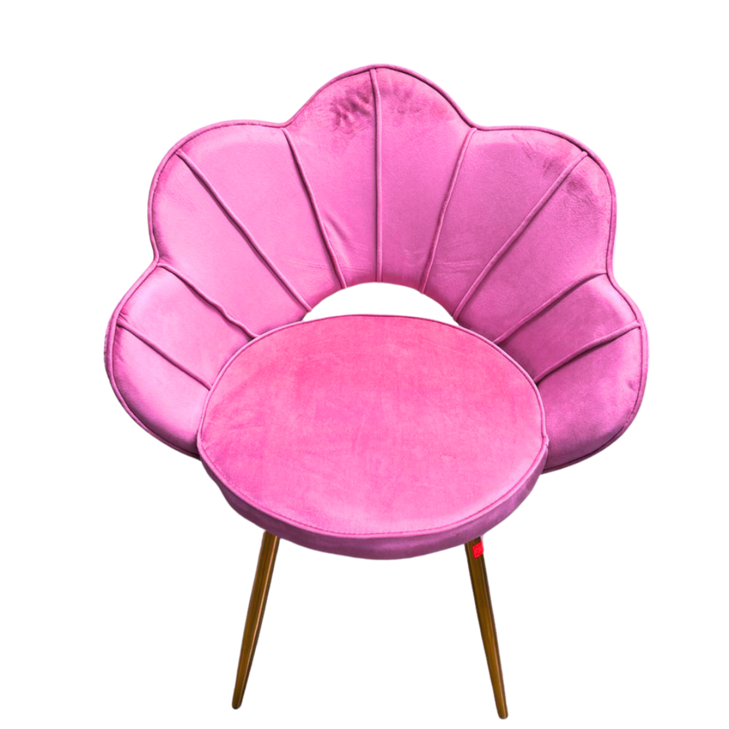 Silla Concha de Terciopelo para Salón de Belleza y Tocador con Patas Doradas 3