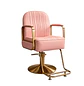 Sillón de Peluquería en Eco Cuero con Apoya Pies Dorado - Miniatura 4