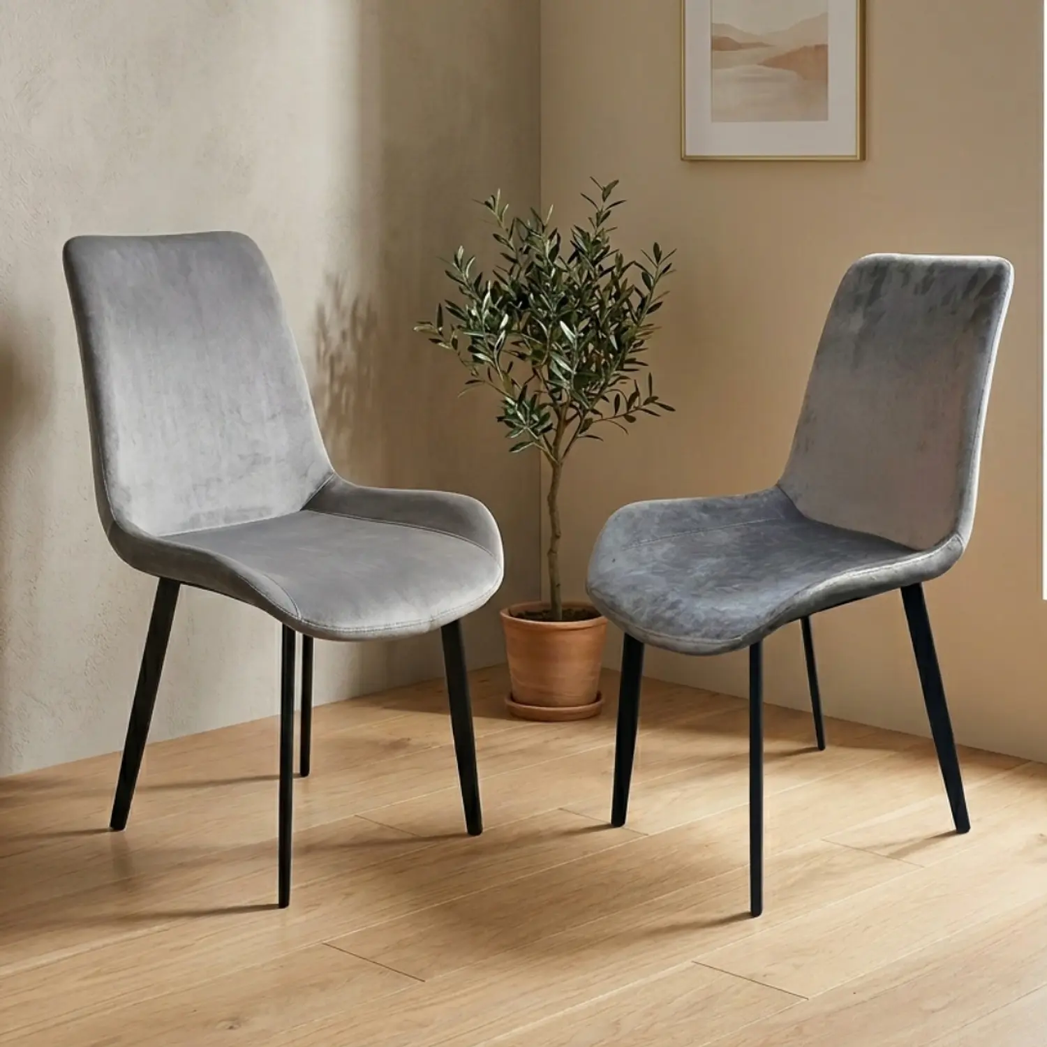 Set de 2 Sillas Oslo Velvet Pata Negra para Comedor 1