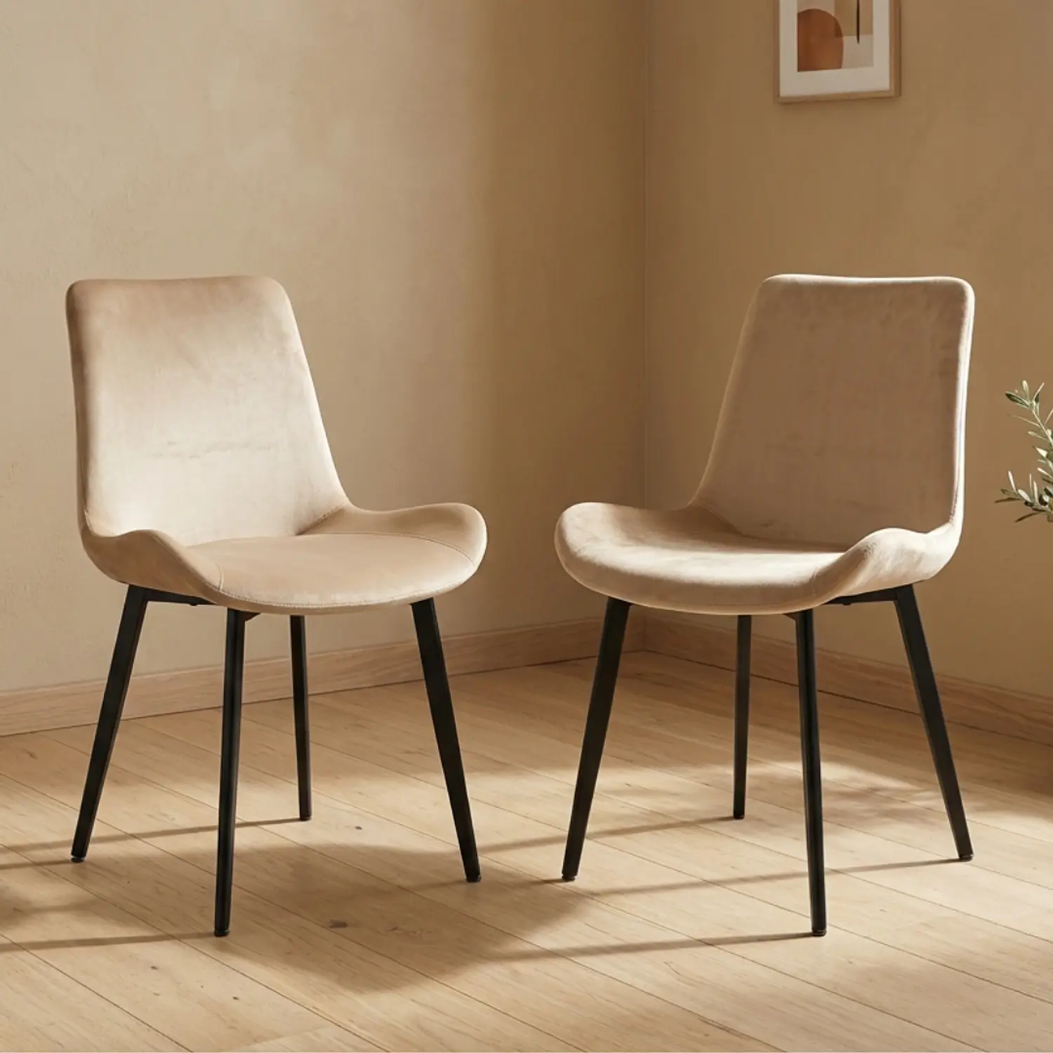 Set de 2 Sillas Oslo Velvet Pata Negra para Comedor 5