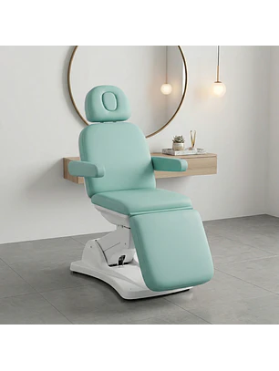 Camilla Sillón Eléctrica Granada Cosmetológica Verde Menta Profesional