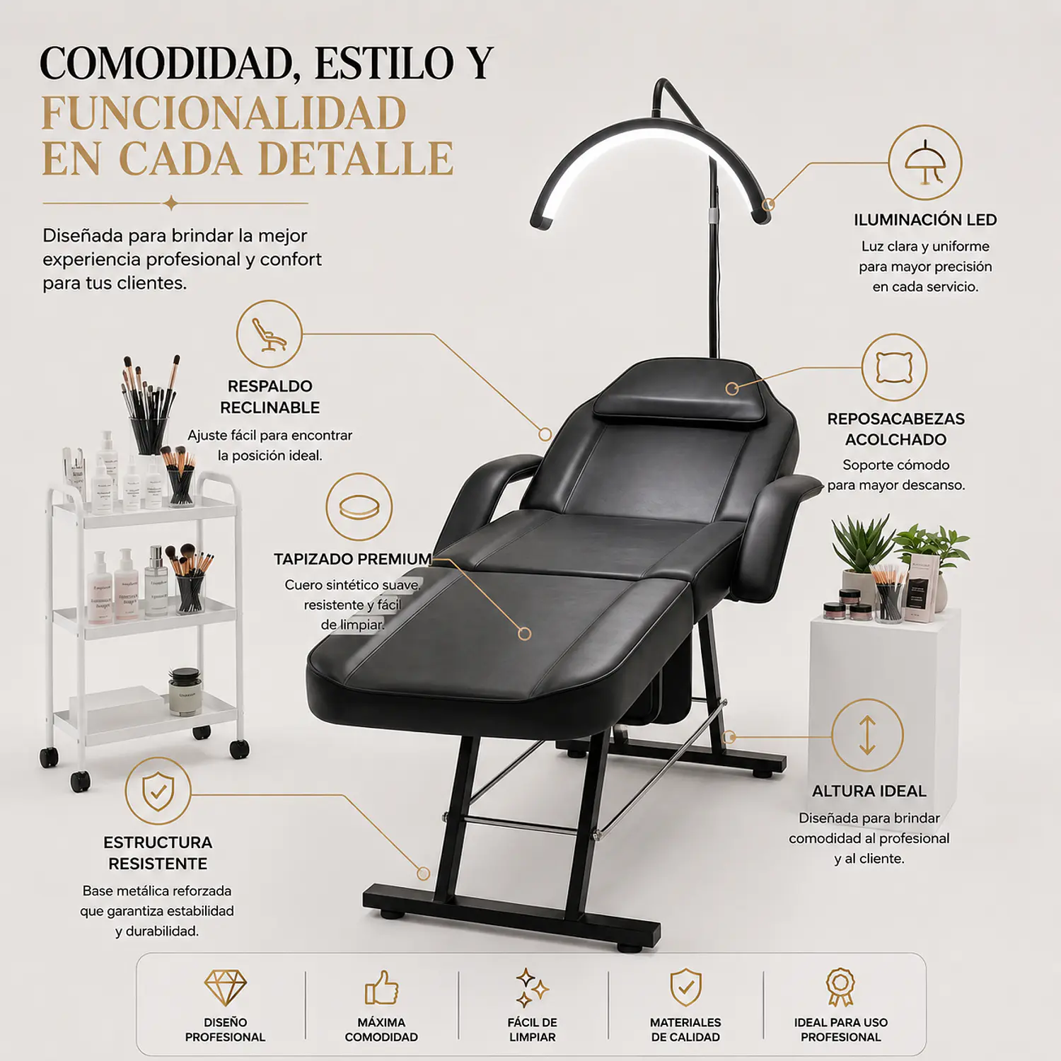 Camilla Estética Córdoba Reclinable Profesional para Cejas y Cosmetología 2