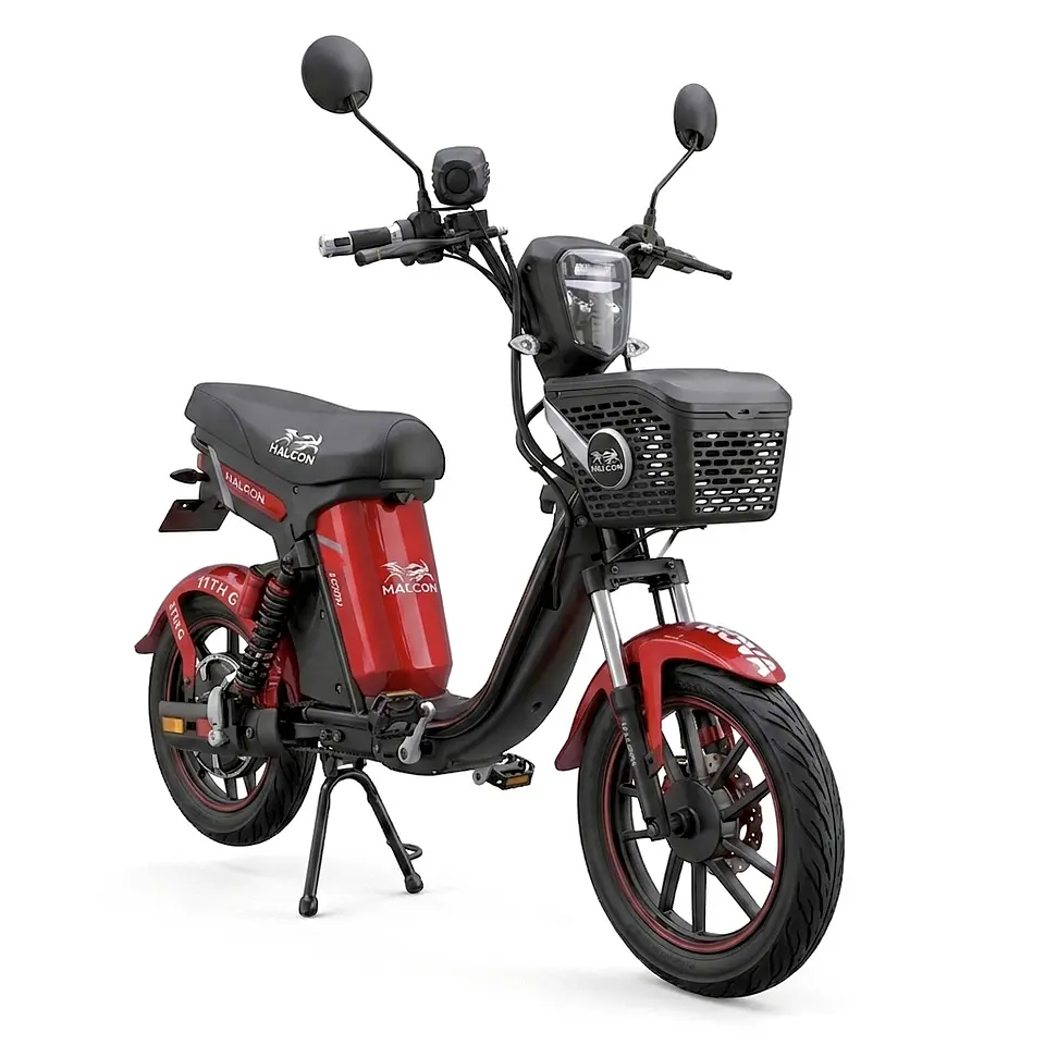 Electric Moped 3