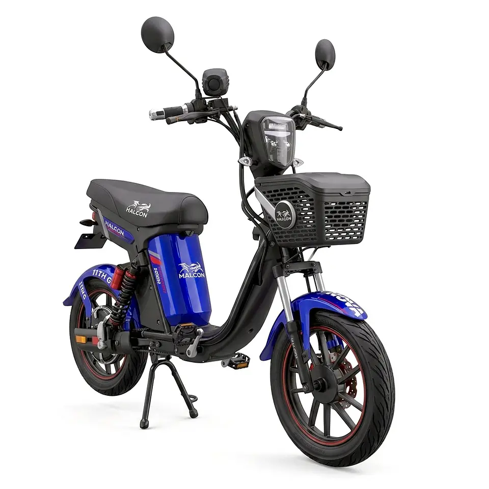 Electric Moped 4