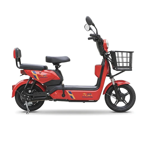 Electric Gel Battery Moped